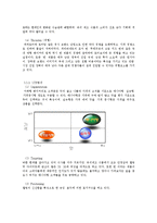 [마케팅] 로티보이 마케팅의 문제점-7