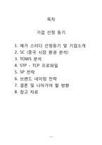[국제마케팅] 메가 스터디 중국시장진출 성공전략-2