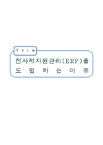 [경영학] 전사적자원관리(ERP) 도입 사례 분석-1
