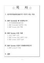 [경영학] 전사적자원관리(ERP) 도입 사례 분석-2