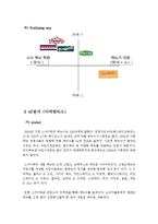 [경영학] 스카이락 실패 사례 분석-10