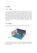 [경영학] 스카이락 실패 사례 분석-16