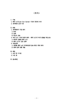 [마케팅] 해외 LCC(Low Cost Carrier)의 국내 진출과 제주항공의 대응 전략-2