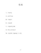 [여행사 경영] 제주도 맞춤형 여행 상품 제공 사업 계획-2