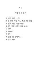 [국제마케팅] 넥슨 중국시장진출 성공전략-2