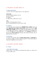 [경영학] 스카이락의 마케팅 전략과 실패 사례 연구-5