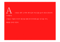 [국제경영] 유진크레베스 CSR 분석-11