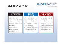 [경영학] 아모레퍼시픽의 경영전략-12