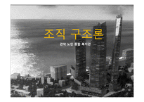 [조직론] 종합복지관의 조직구조 분석-1