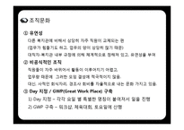 [조직론] 종합복지관의 조직구조 분석-20