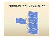 [국제금융] 우리나라의 최근 외환보유고현황과 운용방안-5