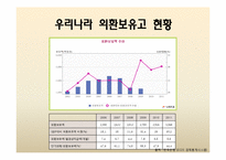 [국제금융] 우리나라의 최근 외환보유고현황과 운용방안-8