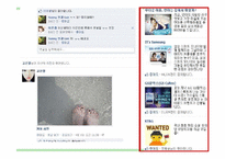 기업의 SNS를 활용한 광고 마케팅 사례 분석-18