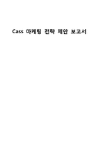 [경영학] Cass STP, SWOT분석 및 마케팅 전략 제안-1