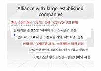 [마케팅] 소셜커머스 쿠팡의 4P, SWOT, STP 분석(영문)-9