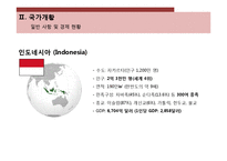 [국제경영] 인도네시아 투자 분석-6
