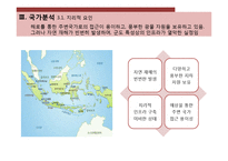 [국제경영] 인도네시아 투자 분석-8