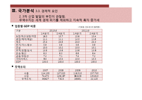 [국제경영] 인도네시아 투자 분석-13