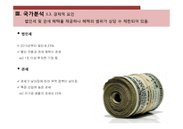 [국제경영] 인도네시아 투자 분석-14