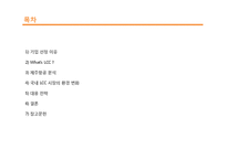 [마케팅] 해외 LCC(Low Cost Carrier)의 국내 진출과 제주항공의 대응 전략-2