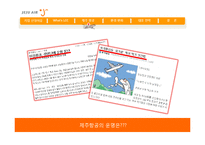 [마케팅] 해외 LCC(Low Cost Carrier)의 국내 진출과 제주항공의 대응 전략-8