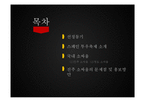 [관광학] 진주 소싸움 축제 홍보방안-2