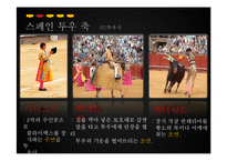 [관광학] 진주 소싸움 축제 홍보방안-6