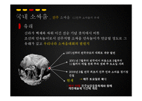 [관광학] 진주 소싸움 축제 홍보방안-9
