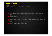 [관광학] 진주 소싸움 축제 홍보방안-11