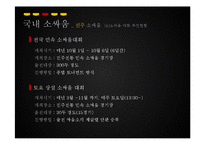 [관광학] 진주 소싸움 축제 홍보방안-12