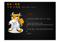 [관광학] 진주 소싸움 축제 홍보방안-13