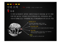 [관광학] 진주 소싸움 축제 홍보방안-15