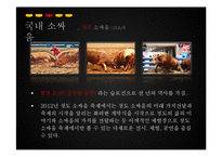 [관광학] 진주 소싸움 축제 홍보방안-16
