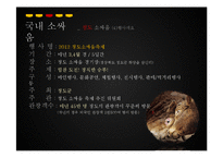 [관광학] 진주 소싸움 축제 홍보방안-18