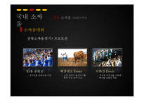 [관광학] 진주 소싸움 축제 홍보방안-19