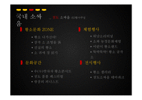 [관광학] 진주 소싸움 축제 홍보방안-20