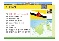 [국제관계] 브루나이의 국제관계와 `더페이스샵` 진출 사례 분석-3
