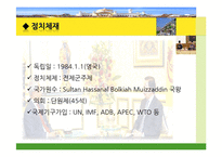 [국제관계] 브루나이의 국제관계와 `더페이스샵` 진출 사례 분석-4