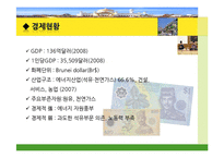 [국제관계] 브루나이의 국제관계와 `더페이스샵` 진출 사례 분석-8