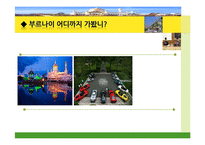 [국제관계] 브루나이의 국제관계와 `더페이스샵` 진출 사례 분석-13