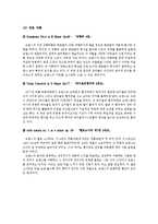 [독일문화] 독일 낭만파 음악에 대하여-8