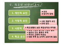 [사회복지] 청소년 비행과 학교사회복지의 역할-14