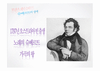 [독일문화] 독일 낭만파 음악에 대하여-18
