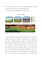 국제석유자본 연구-4