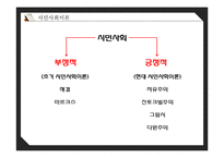 [사회학] 시민사회와 사회적 자본-9