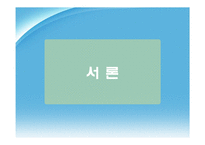 다문화 가정의 가계경제 실태 분석-3