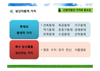 산림 자원의 국제적 이슈-6