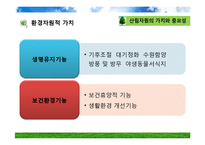 산림 자원의 국제적 이슈-7