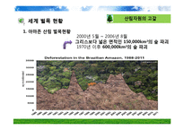 산림 자원의 국제적 이슈-17