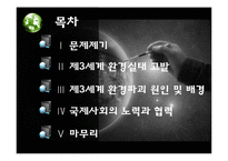 제3세계의 환경파괴 실태와 해결방안 고찰-2